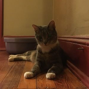 Meet your Posher, Margaret